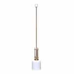 HomEnhancements 60W Paris Mini Pendant Light, Clear Cylinder Glass, Brushed Nickel