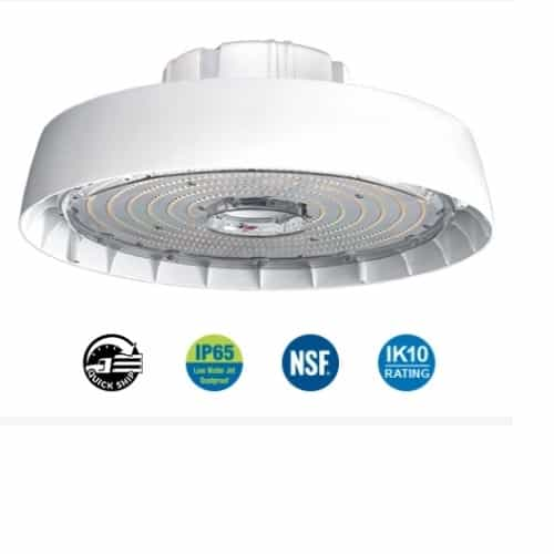 ILP Lighting 98W LED Round High Bay, Wet Location BB, 120V-277V, 4000K, Clear