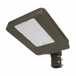 100W Slim LED Area Light, 12590 lm, 250 MH Retrofit, Type V, Slipfitter, 4000K