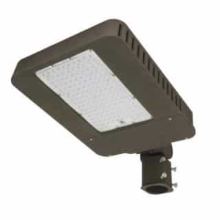 100W 5000K Type V LED Slim Area Light, 347/480V w/ Slipfitter