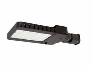 145W LED Slim Area Light w/Slipfitter, T5, 120V-277V, Selectable
