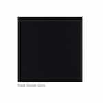 Napoleon 42-in Decorative Panel for Elevation X Fireplace, Black Illusion Glass