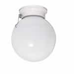 6in Ceiling Light Fixture, Ball with Pull Chain, Brushed Nickel