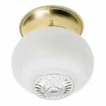 6" Flush Mount Ceiling Light, Polished Brass, Frosted Squat Glass Ball
