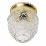 Nuvo 6" Flush Mount Ceiling Light Fixture, Polished Brass, Clear Pineapple Glass