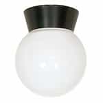 Utility Outdoor Ceiling Light, Bronzotic, White Glass Globe