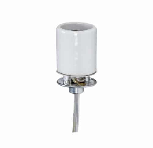 Satco 660W Glazed Porcelain Socket w/ 1/8 IPS Cap, Medium, 250V 