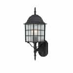 100W Adams LED Wall Lantern w/ Frosted Glass, 1 Light, Textured Black, 18-in