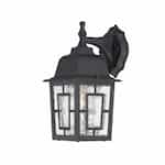 Nuvo 100W 12-in Banyan LED Outdoor Wall Lantern w/ Clear Water Glass, 1 Light, Textured Black