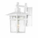 Nuvo 100W Cove Neck LED Outdoor Wall Lantern w/ Clear Seed Glass, 1 Light, White