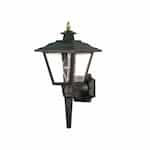 Nuvo 60W Coach Outdoor Wall Lantern w/ Brass Trimmed Acrylic Panels, Black