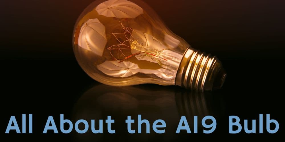 All About the A19 Bulb