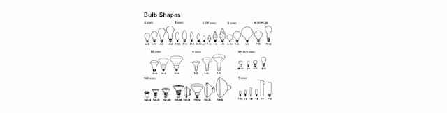 Bulb Shapes