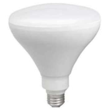 LED BR40 Bulb