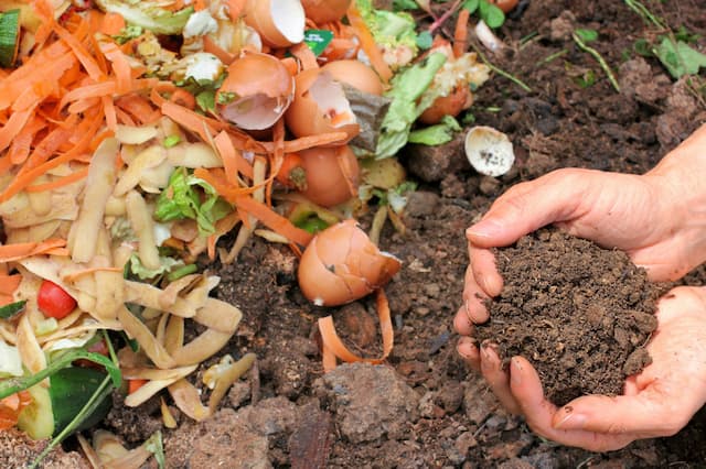 Composting