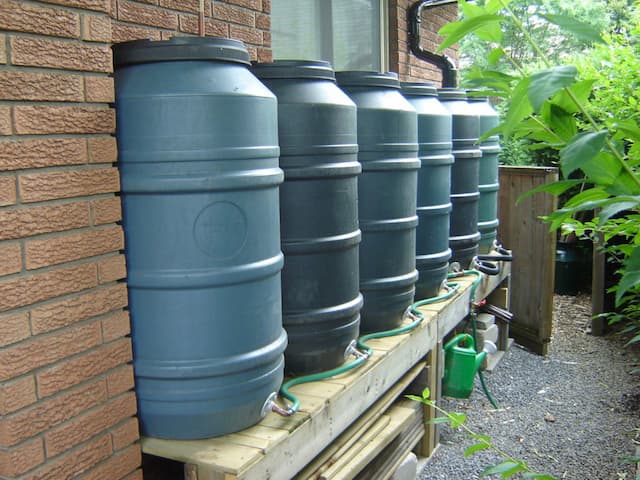 Rain Barrel