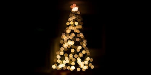 Christmas Safety Tips: Christmas Trees