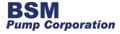 BSM Pump Corporation