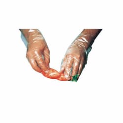 Medium, 100 Count General Purpose Disposable Polyethylene Gloves