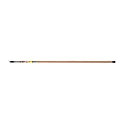 Fish and Glow Rod Set, 25 Foot