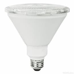 14W 5000K Spotlight LED PAR38 Bulb