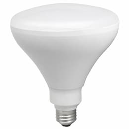 17W LED BR40 Bulb, Dimmable, E26, 1400 lm, 120V, 5000K