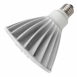 PAR38 19W Wet Location LED Bulb, Flood, 40 Degree, 3000K