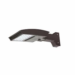 MaxLite 55W LED Area Light, 3M, Straight, C-Max, 120V-277V, CCT Selectable