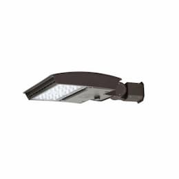 55W LED Area Light, 4N, Slipfitter, C-Max, 120V-277V, CCT Selectable