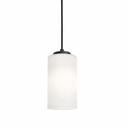 4-in 60W Leo Pendant Light, 1-Light, E26, 120V, Black