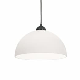 10-in 60W Otis Pendant Light, E26, 1-Light, E26, 120V, Black