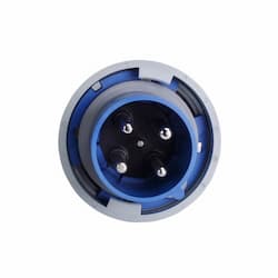 60 Amp Pin and Sleeve Plug, 3-Pole, 4-Wire, 250V, Blue