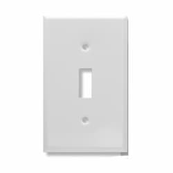 Aida 1-Gang Medium Single Outlet Wall Plate, Stainless Steel