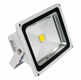 4500K 30W 100-277V Panorama Pro COB LED Floodlight, White