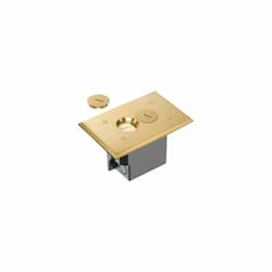 Floor Box w/ Threaded Plugs & Receptacle for Existing Floors, Brass