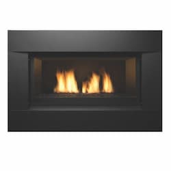 36-in Newcomb Series Direct Vent Liner Fireplace, Liquid Propane