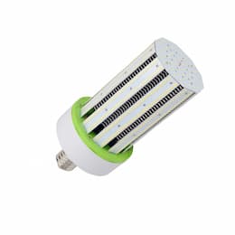 240W T44 LED Corn Bulb, 1000W MH/HID Retrofit, 28800 Lumens, 5700K