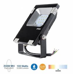 100W LED Flood Light, 250W MH Replacement, 12000 Lumens, 5700K