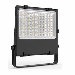 240W LED Tennis Sport Light, 34800 lm, 347V-480V, 5000K