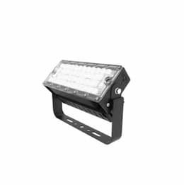 100W LED High Mast Stadium Sport Light, 16200 lm, 100V-277V, 5000K