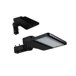 300W Shoebox Area Light w/Slip Fitter, 1000W MH/HID Retrofit, 42000 Lumens, 480V, 5000K