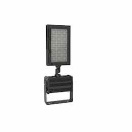 300W Dragonfly LED High Mast Stadium Sports Light, 48000 lm, 100V-277V, 5000K