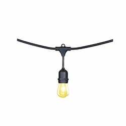 CyberTech 24-ft 12-Bulb LED String Light, S14, 60 lm, 3000K