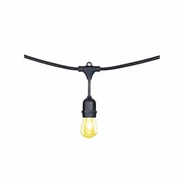 CyberTech 48-ft 24-Bulb LED String Light, S14, 60 lm, 3000K