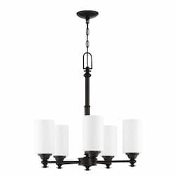 Dardyn Chandelier w/o Bulbs, 5 Lights, E26, Espresso & Frost White