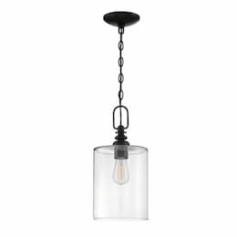 Dardyn Mini Pendant Fixture w/o Bulb, 1 Light, Flat Black & Clear