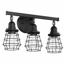 Thatcher Vanity Light Fixture w/o Bulbs, 3 Lights, E26, Flat Black