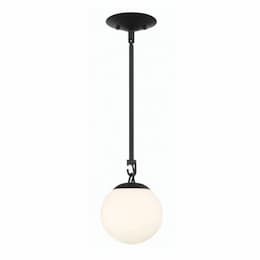 Orion Mini Pendant Fixture w/o Bulb, 1 Light, E12, Flat Black