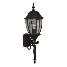 Medium Bent Glass Cast Outdoor Wall Sconce w/o Bulb, Textured Black