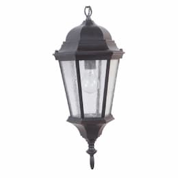 Chadwick Outdoor Pendant Fixture w/o Bulb, E26, Oiled Bronze Gilded